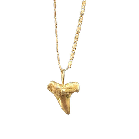 Shark Tooth